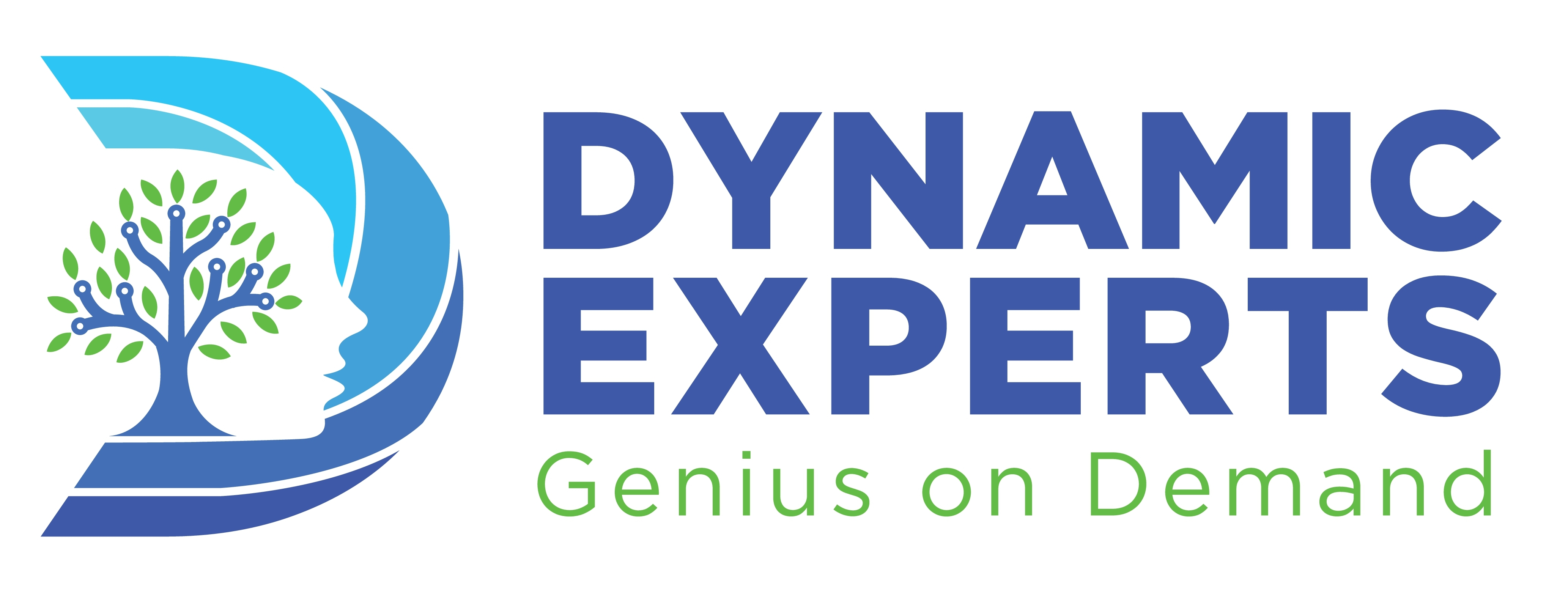 Dynamic Experts